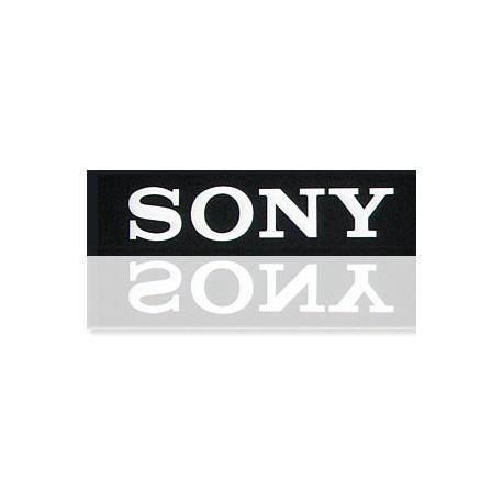 Sony minidisc 74 minutos MDW74