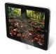 3M Protector de pantalla natural tablet (Universal