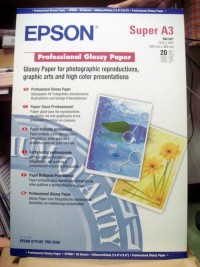 Epson papel S041457 A3+ Glossy profesional - 215gr