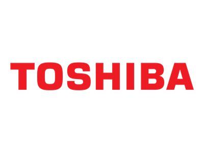 Toshiba Global AC - adaptador de corriente - 19V-45W 2pin+eurocable 2pin - PA5177U-1ACA+PX1341E-1NAC - P000790900