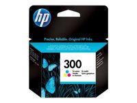 HP cartucho de tinta tricolor 300 CC643EE 165 páginas