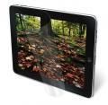 3M Protector de pantalla natural view medida universal para tablet  2uds/kit  98-0440-5153-4